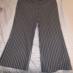 Capri Editor Pants Express Design Studio Size 12